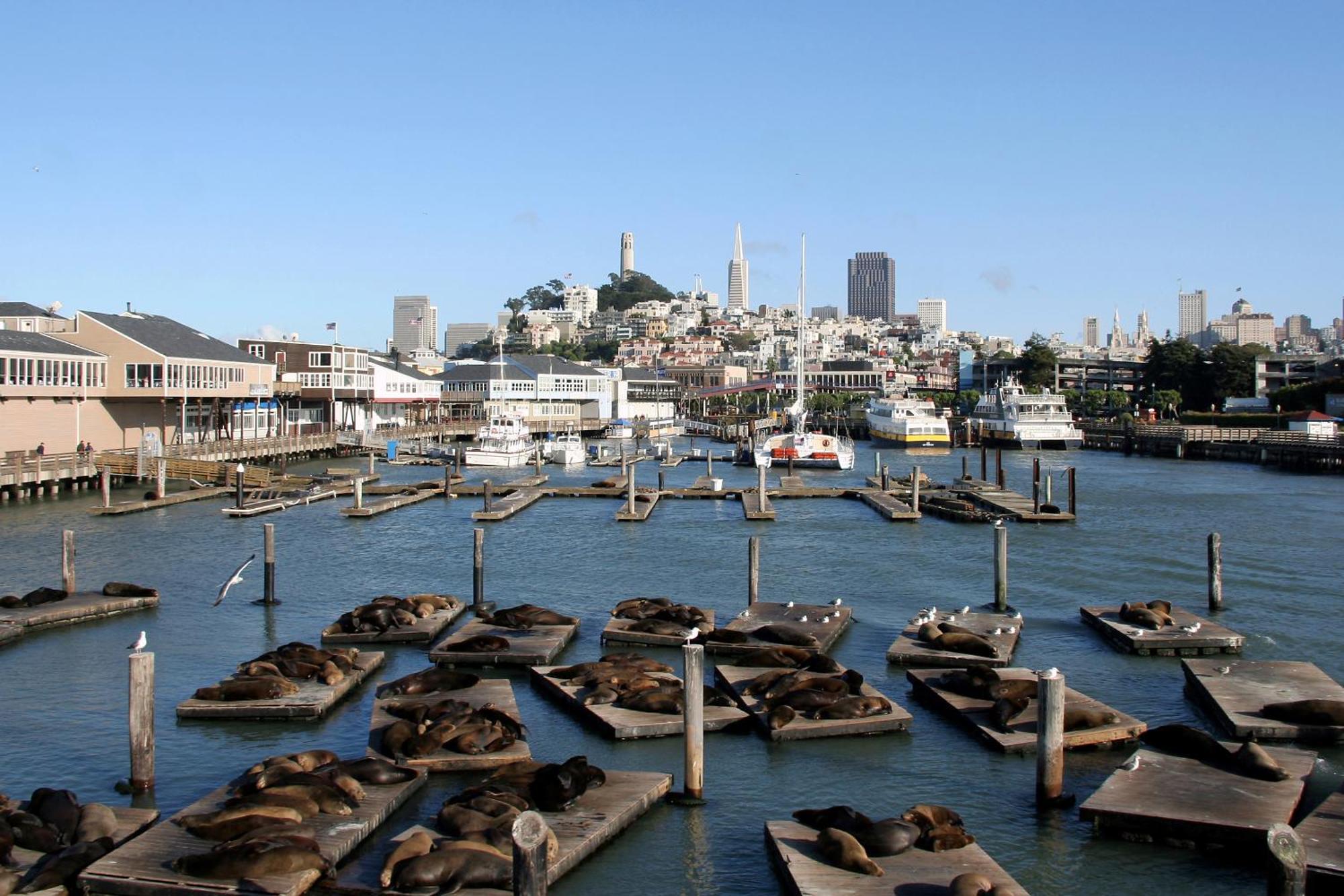 Hotel Zoe Fisherman'S Wharf Сан Франциско Екстериор снимка